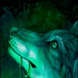 Денис Зайцев, 31.01