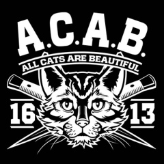 Александр Белоконь, 07.07.1988, Астана