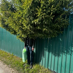 Дмитрий Метальников, 14.12.1990, Санкт-Петербург