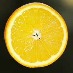 Hetag Челохсаев, 16.09.1986, Владикавказ