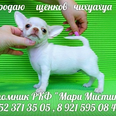 Марина Белкина, 04.08, Санкт-Петербург