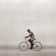 Lovelyrita Caterpillar, 29.04, New York City