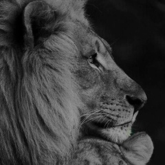 Ирина Кайратовна, Астана