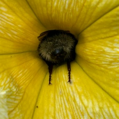 Ирина Вайнер, 22.05.1984