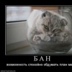 Кирилл Недугов, 30.04.1997, Барнаул