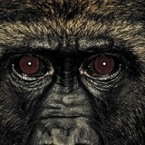 Руслан С, 20.06, Москва