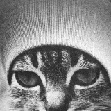 Дмитрий Караулов, 17.04.1989, Москва