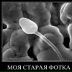 Андрей Катков, 03.11, Санкт-Петербург