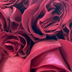 Марта Накпаева, 06.03, Атырау