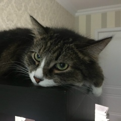 Татьяна Сергеева, 09.02, Санкт-Петербург