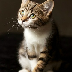 Наташа Романова, 04.08, Москва