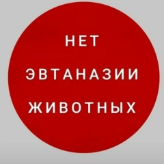 Ираида Суханова, Грязи