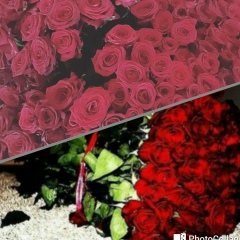 Анна Белоус, 01.08, Днепр (Днепропетровск)