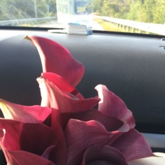 Жанна Загдаева, 26.08, Иркутск