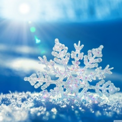 Юра Миненок, 21.09.1997, Боярка