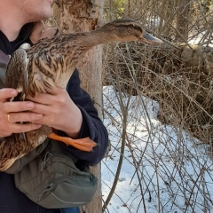 Дмитрий Макеев, 15.03, Москва