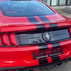 Дима М, 19.04, Санкт-Петербург