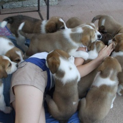 Айгуль Залялетдинова, 13.09, Тугулым