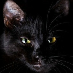 Dastan Auelbekov, 30.04, Шымкент