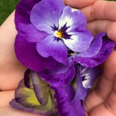 Марина Баракова