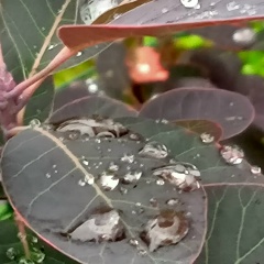 Валентина Катаева, 21.05, Москва