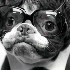 Наталья Полюшкевич, 26.12, Houston