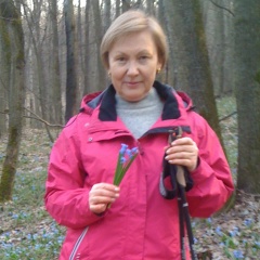Ирина Звонкова, Воронеж