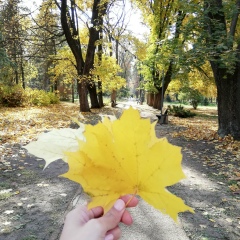 Динара Ермаханова, 16.12