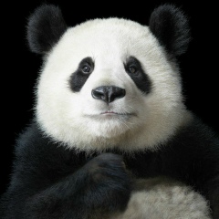 Мухамед Люяров, 24.12.1997, Beijing