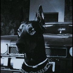 Арсений Стечкин, 14.02.1991, Петрозаводск