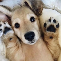 Андрей Фомин, 21.01, Санкт-Петербург