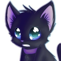 Димка Будько, 17.01.2000, Челябинск