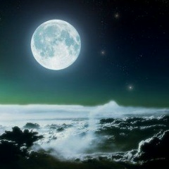 Алексей Никола, 30.06.1988, Санкт-Петербург