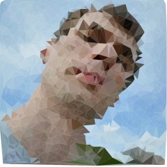 Дмитрий Козик, 08.11.1984, Киев