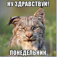 Алексей Симонов, 30.03, New York City