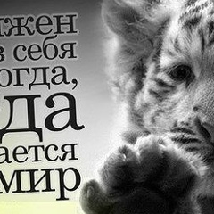 Шамиль Кадыров