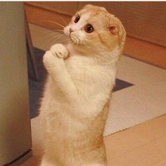 Андрей Огай, Актобе