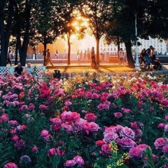 Светлана Карпова, 26.09.1985, Москва