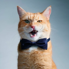 Алексей Шестов