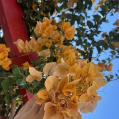 Гаяне Нерсесян, 07.02.2001, Луганск