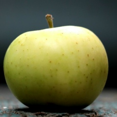 Азат Жанский, Алматы