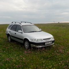 Денис Удалов, 08.06.1984, Нижний Новгород