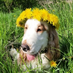 Витя Беззубов, 19.09.2004, Шуя