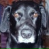 Бим Бимовских, 14.03.2001, Челябинск