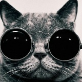 Серёжка Недоступов, Харьков