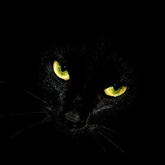 Наталья Алексеева, 13.07