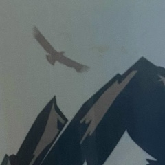 Курметбек Тохтар, 23.10.1986, Алматы