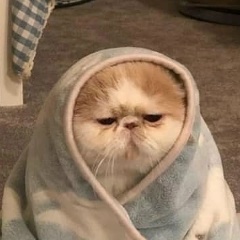 Ксения Беспалова, 20.12, Казань