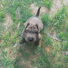 Наталочка Анненко, 09.12, Шымкент