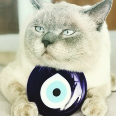 Мария Золотова, 10.11.1984, Алматы